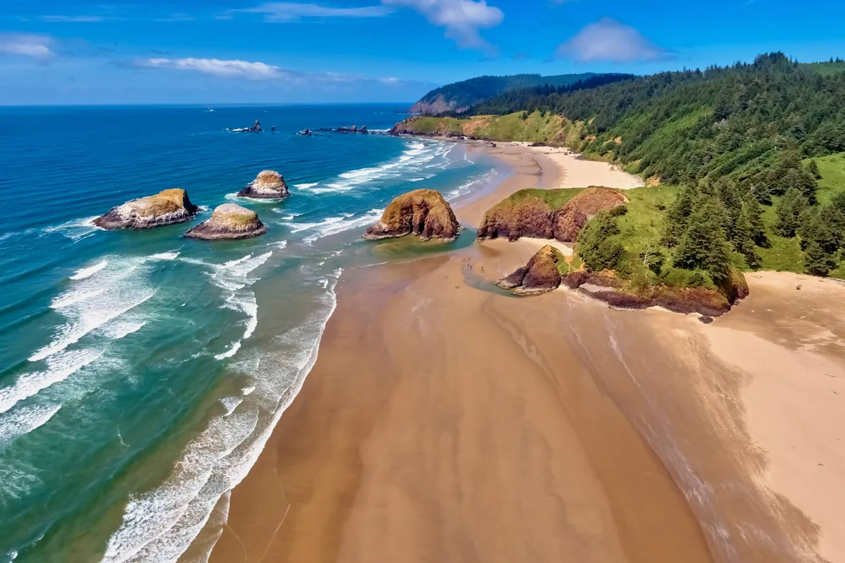 A scenic vista of a sandy beach with dramatic rock formations, ocean waves lapping at the shore, and a backdrop of forested hills. The landscape offers ample space for beachcombing, hiking, and enjoying the outdoors with pets. The wild, natural setting evokes a sense of freedom and adventure.