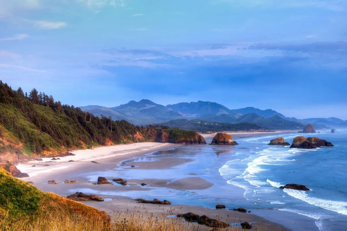 A wide, tranquil view of the ocean with gentle waves rolling onto a sandy beach, rocky outcrops along the shoreline, and distant mountains under an open sky. The beach appears walkable and inviting—a perfect spot for strolling, playing fetch, or relaxing with pets. The natural landscape suggests ample opportunities for outdoor exploration and adventure.
